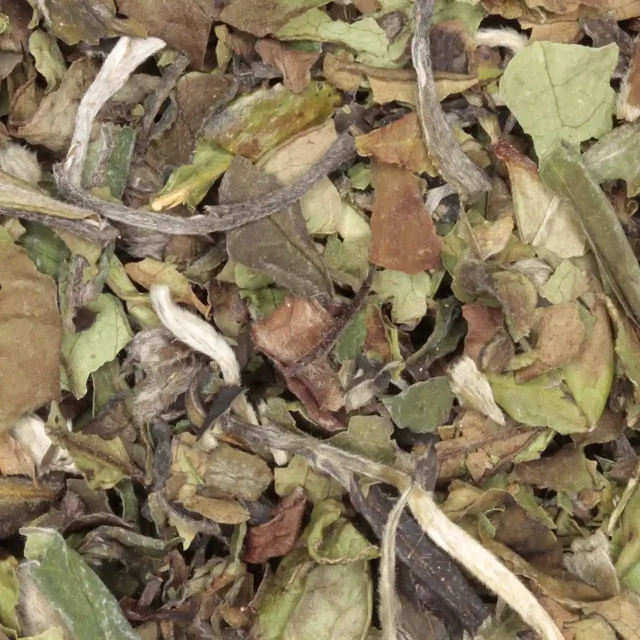 Bai Mu Dan / Pai Mu Tan - biologische witte thee