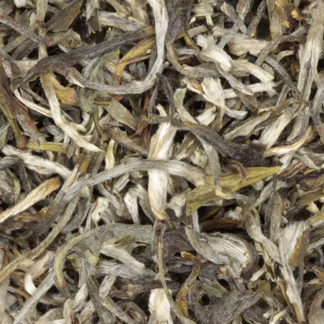 Snow Buds - biologische witte thee