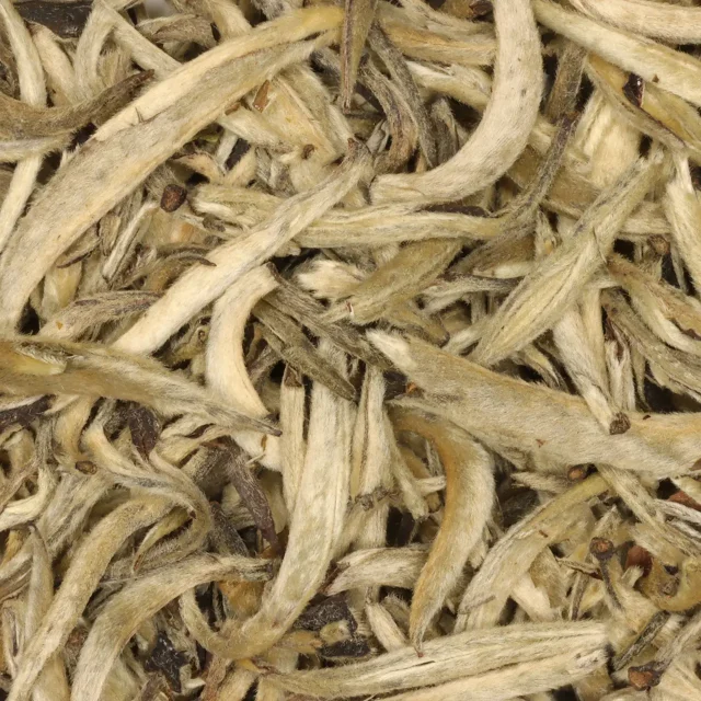 Yin Zhen Silver Needle - biologische witte thee