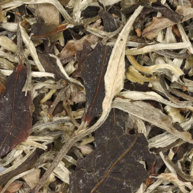 Yue Guang Bai "Moonlight White" - biologische witte thee