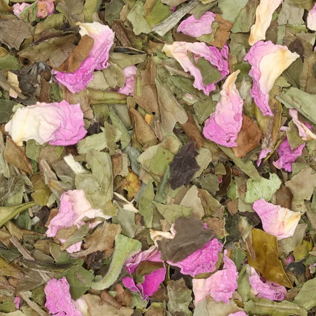 Stilte - biologische witte thee