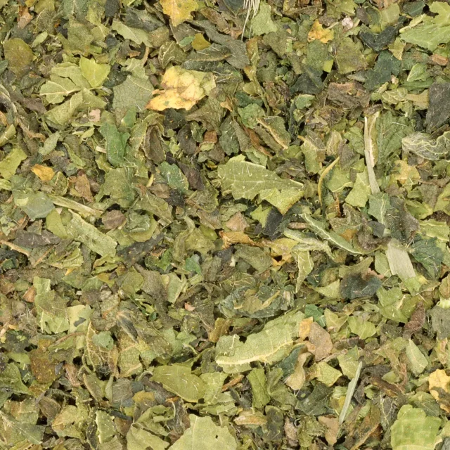 Brandnetel - biologische kruiden