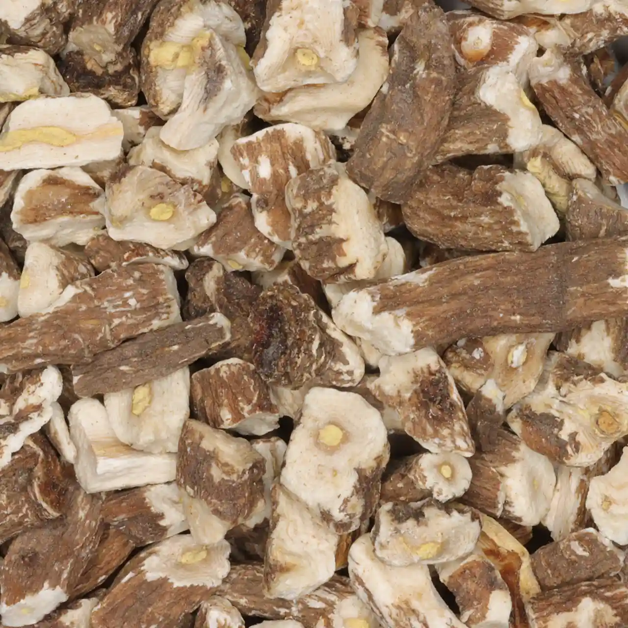 Paardenbloemwortel - biologische kruiden