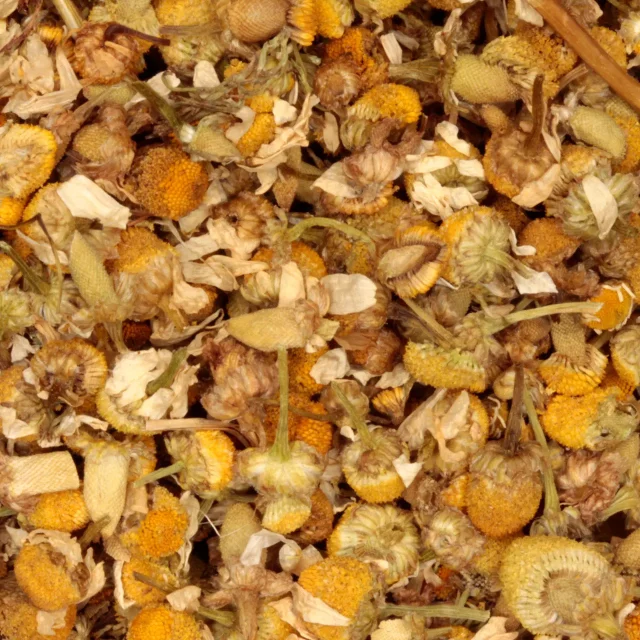 Kamille - biologische kruiden