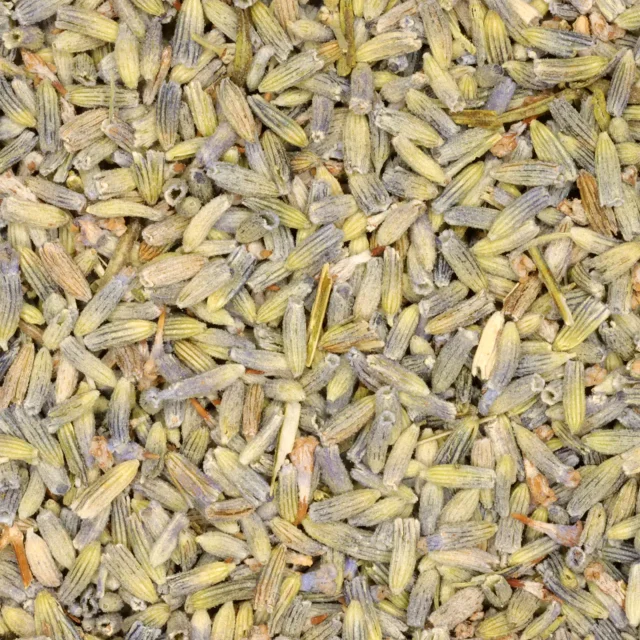 Lavendel - biologische kruiden