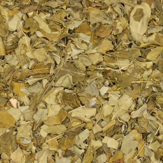 Moringa - biologische kruiden