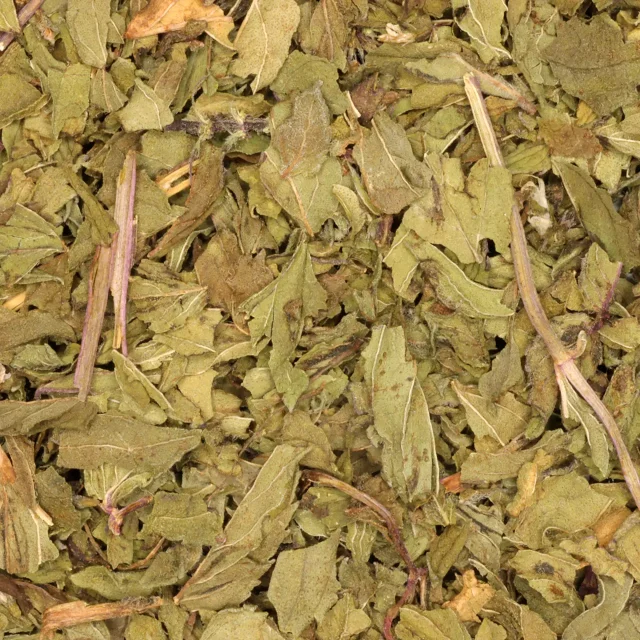 Pepermunt - biologische kruiden