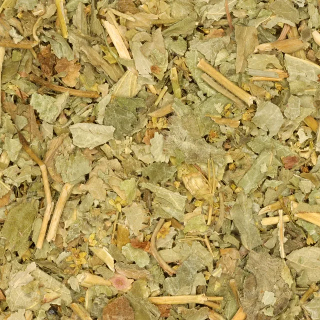 Vrouwenmantel - biologische kruiden