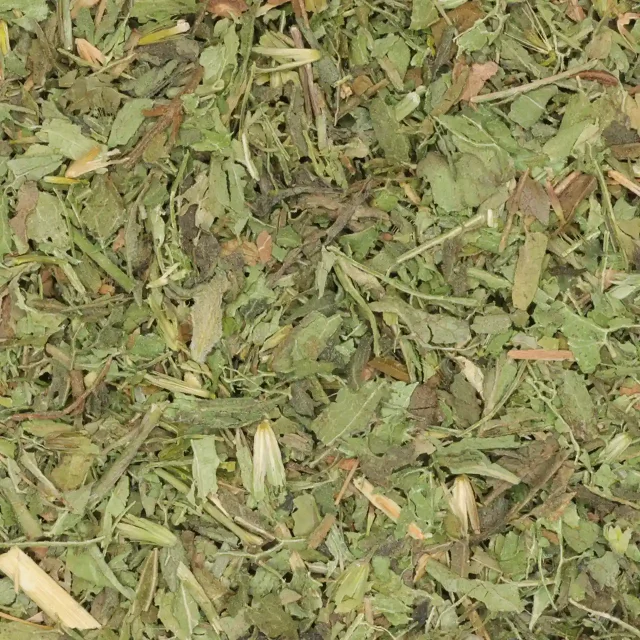 Stevia - biologische kruiden