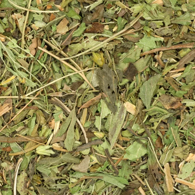 Stevia - biologische kruiden