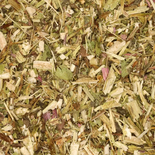 Echinacea Purpurea - biologische kruiden