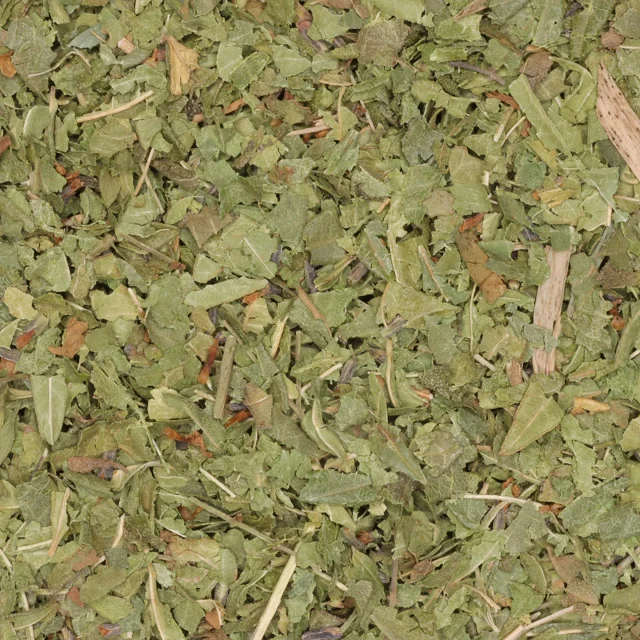 Citroenverbena / verveïne - biologische kruiden