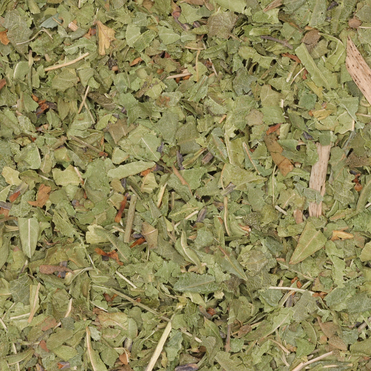 Citroenverbena / verveïne - biologische kruiden