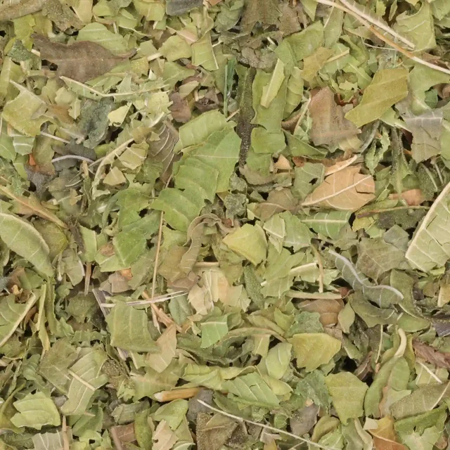 Citroenverbena / verveïne - biologische kruiden