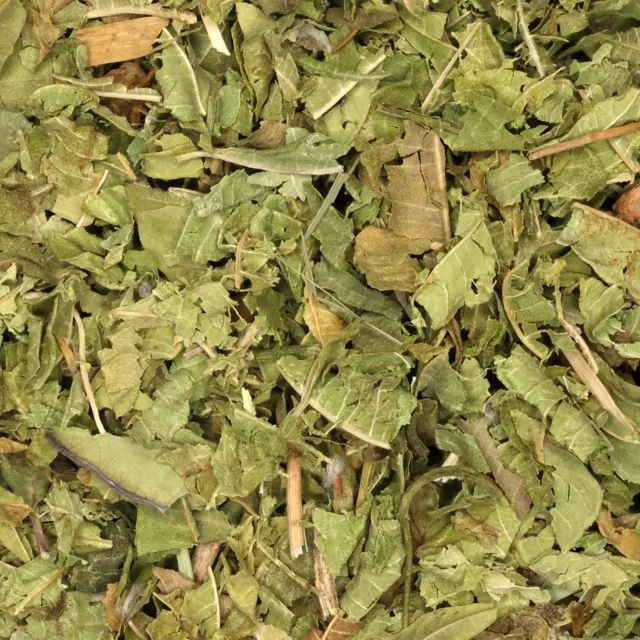 Citroenverbena / verveïne - biologische kruiden