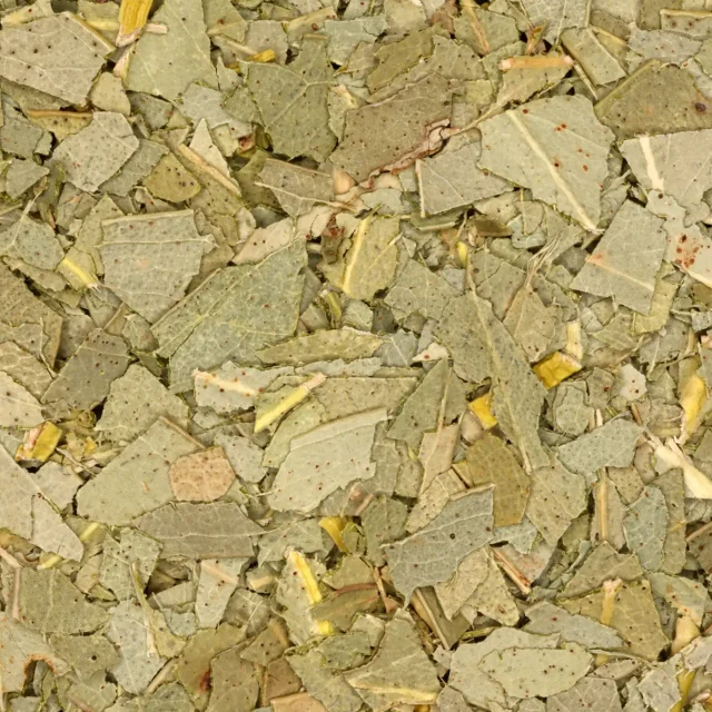 Eucalyptus - biologische kruiden