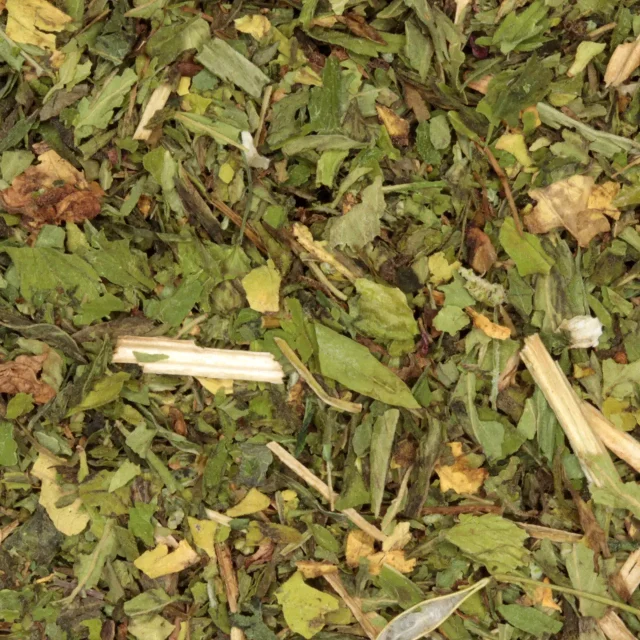 Hennep - biologische kruiden