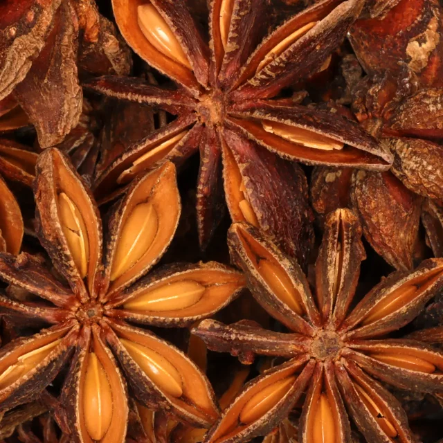 Steranijs - biologische specerijen