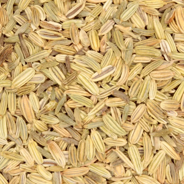 Venkel - biologische specerijen