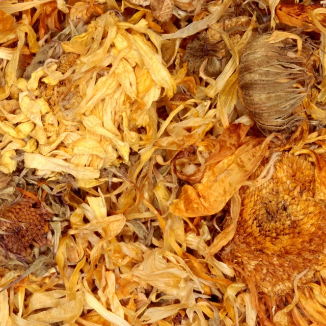 Goudsbloem met kelk - biologische kruiden