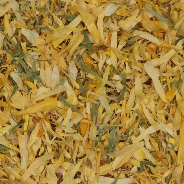 Goudsbloem zonder kelk - biologische kruiden