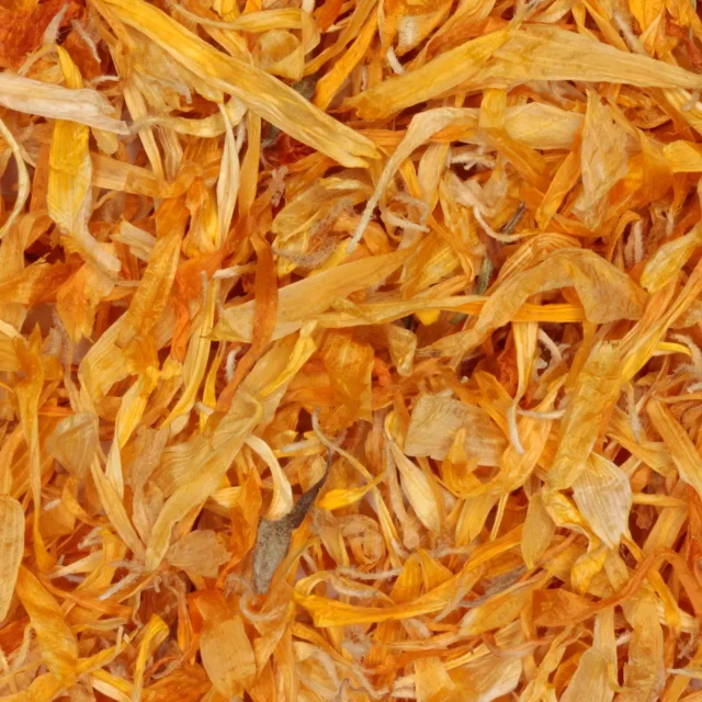 Goudsbloem zonder kelk - biologische kruiden