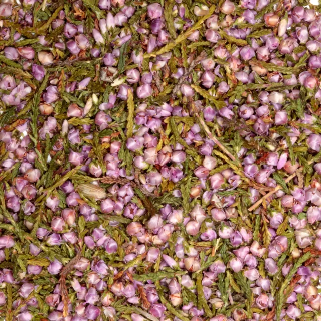 Heide - biologische kruiden