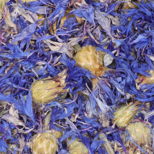 Korenbloem met kelk - biologische kruiden