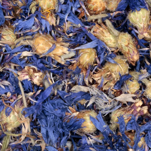 Korenbloem met kelk - biologische kruiden