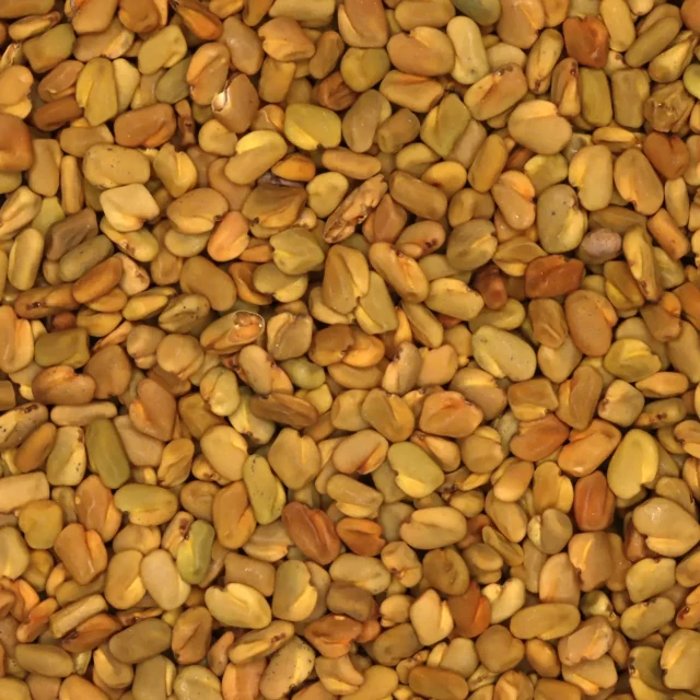 Fenegriek - biologische specerijen