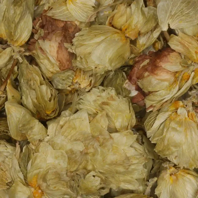 Hop - ongesneden - biologische kruiden