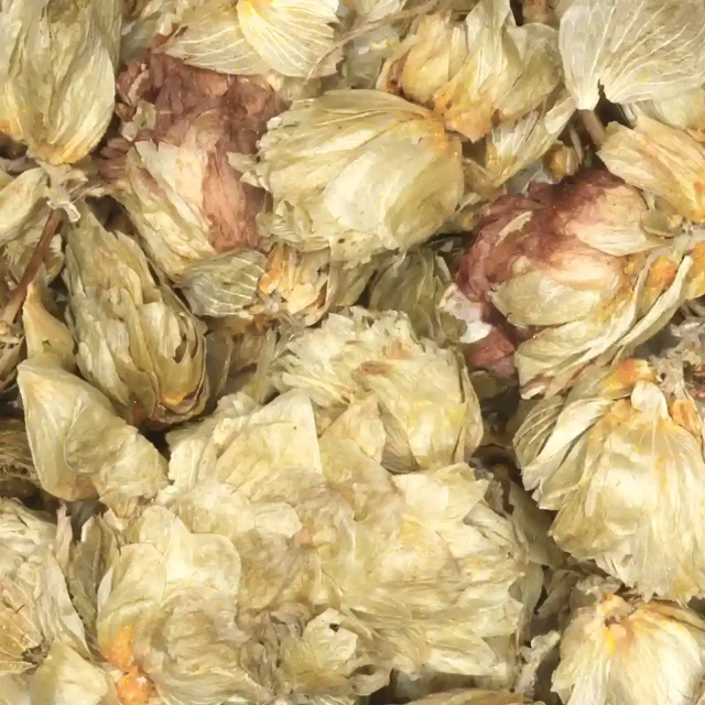 Hop - ongesneden - biologische kruiden