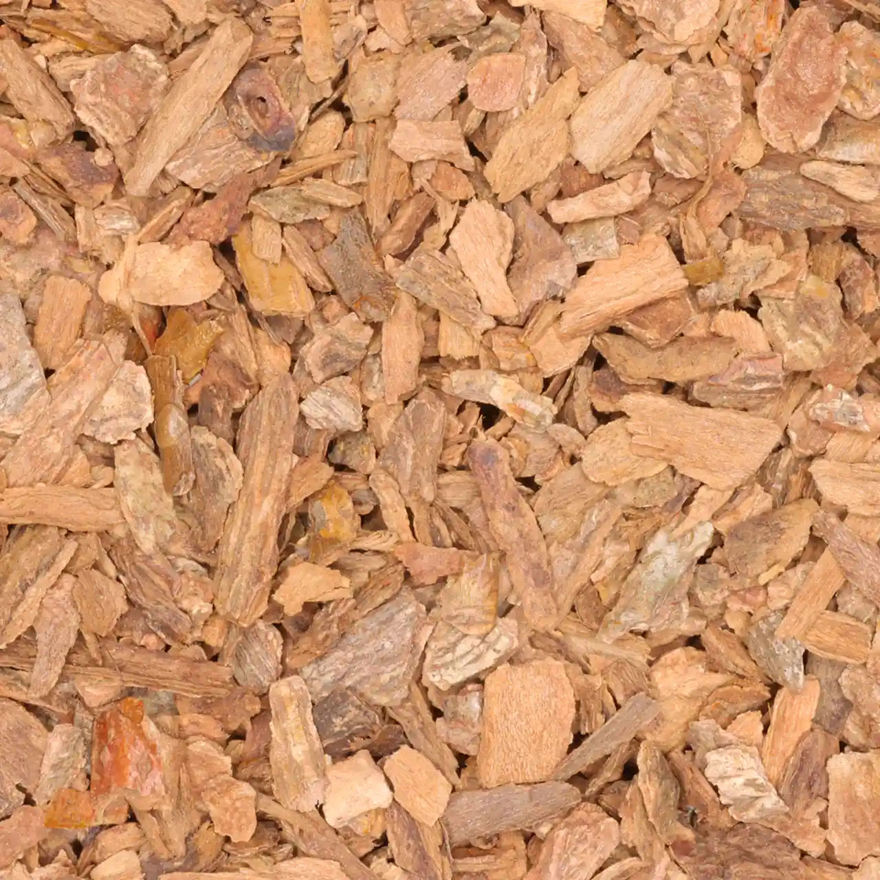 Ceylon Kaneel - biologische specerijen