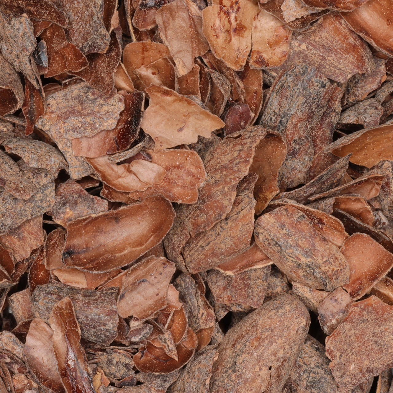 Cacaodoppen - biologische specerijen