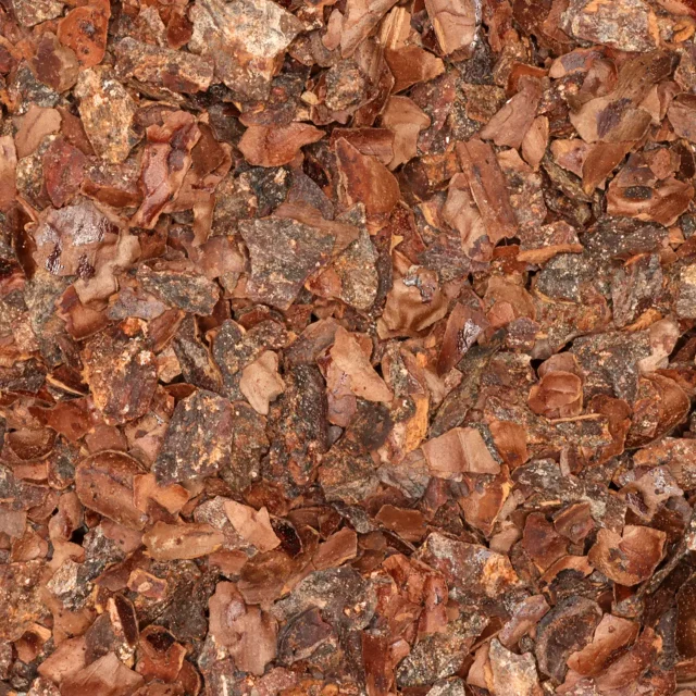 Cacaodoppen - gebroken - biologische specerijen