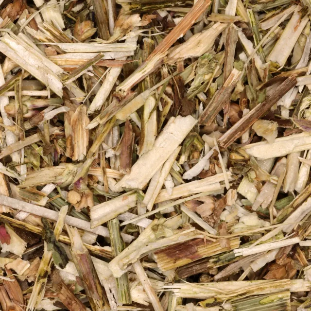 Cichoreikruid - biologische kruiden