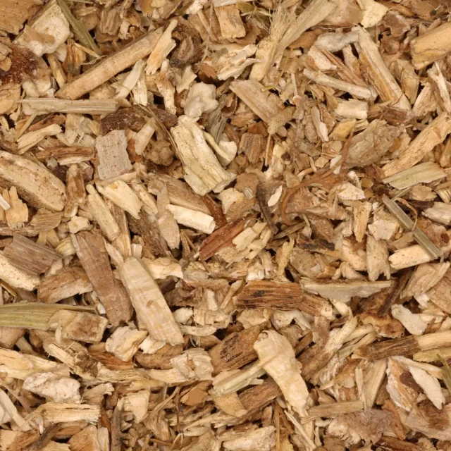 Cichoreiwortel - biologische kruiden