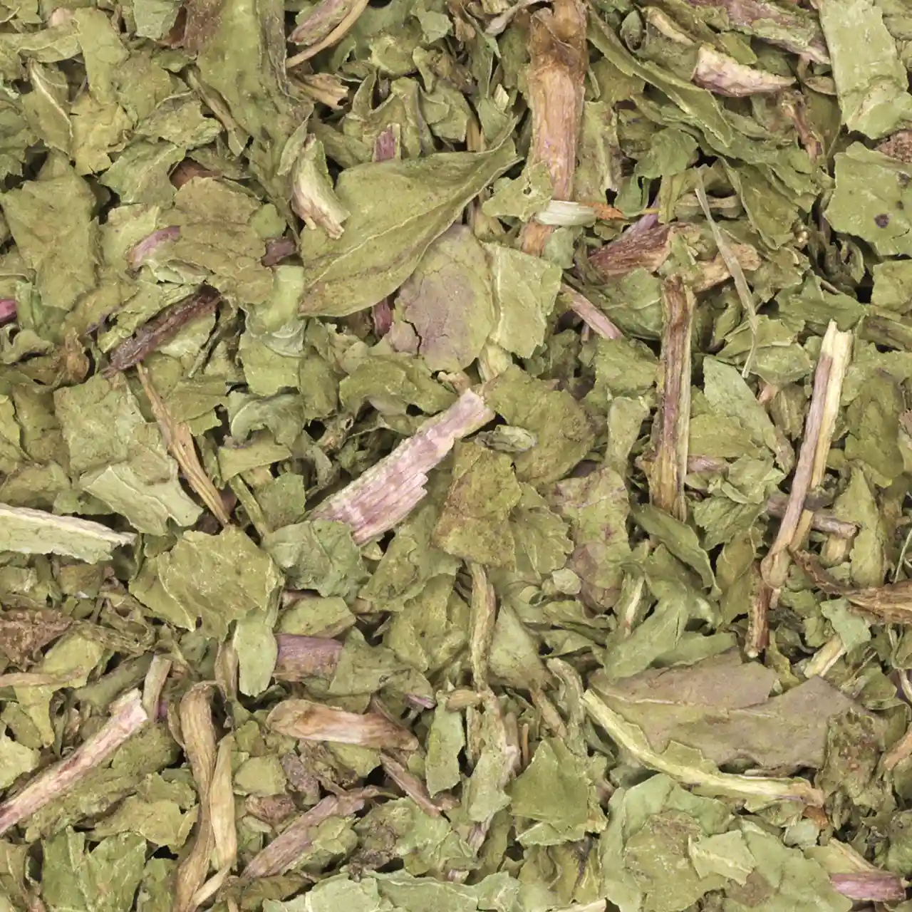 Paardenbloemblad (Taraxacum officinale) - Biologische Kruiden | De Theefabriek - Theegroothandel