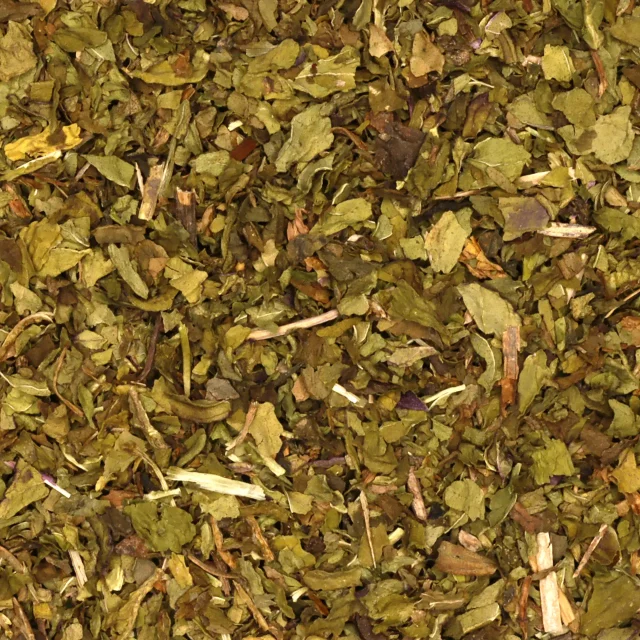 Kruizemunt - biologische kruiden