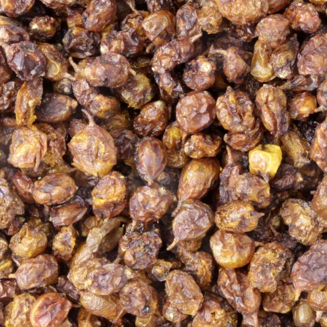 Duindoorn bessen - biologische vruchten