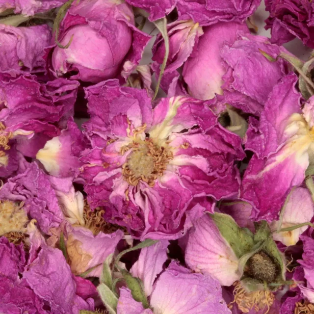 Rozenbloesem - heel - biologische kruiden