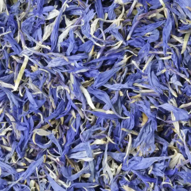 Korenbloem zonder kelk - biologische kruiden