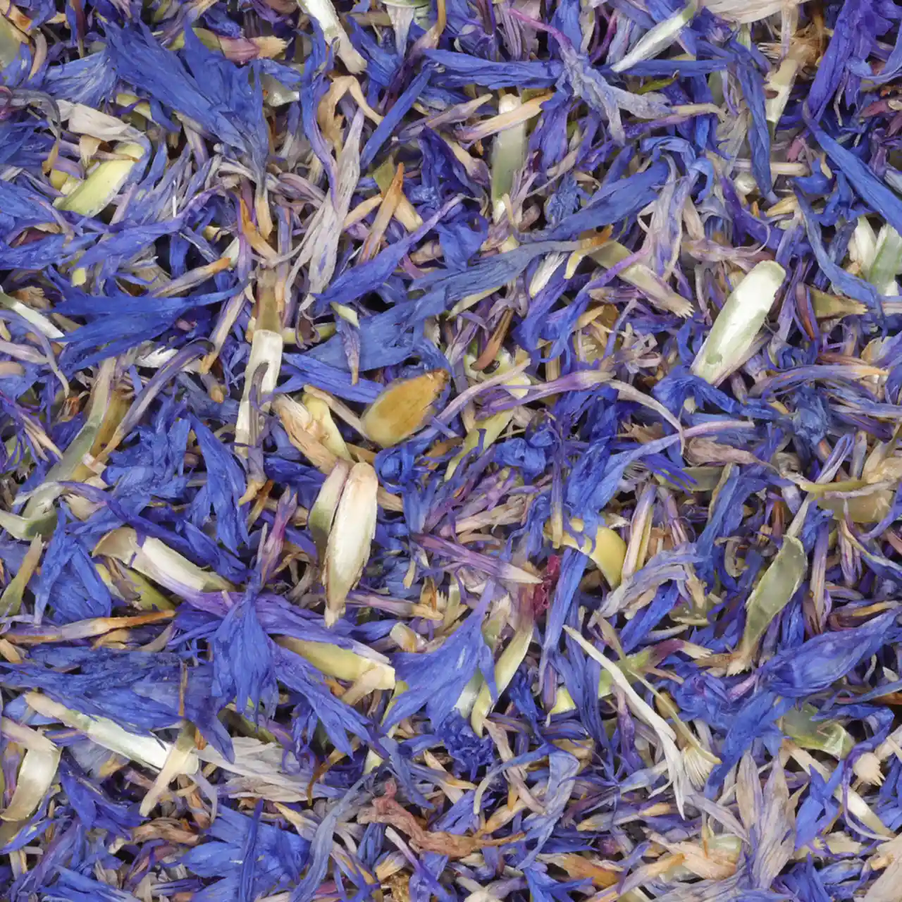 Korenbloem zonder kelk - biologische kruiden