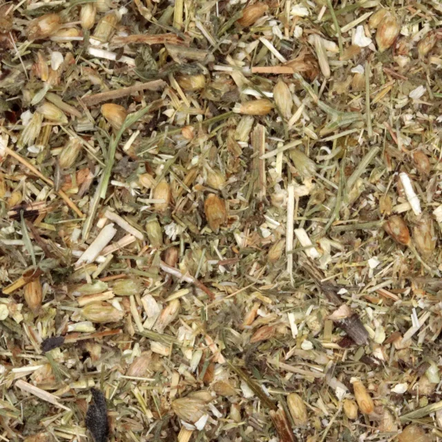 Duizendblad bloesem - biologische kruiden