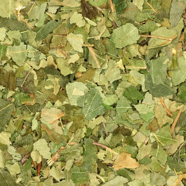 Berkenblad - biologische kruiden