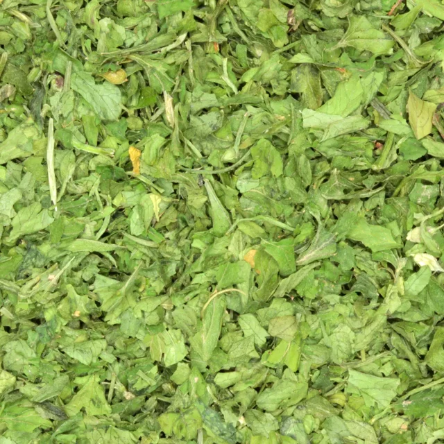 Peterselie - biologische kruiden