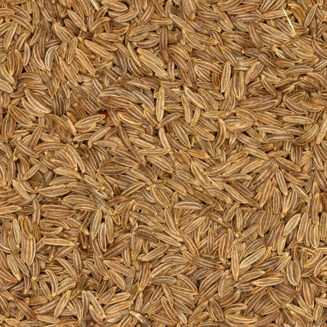 Karwij zaad - biologische specerijen