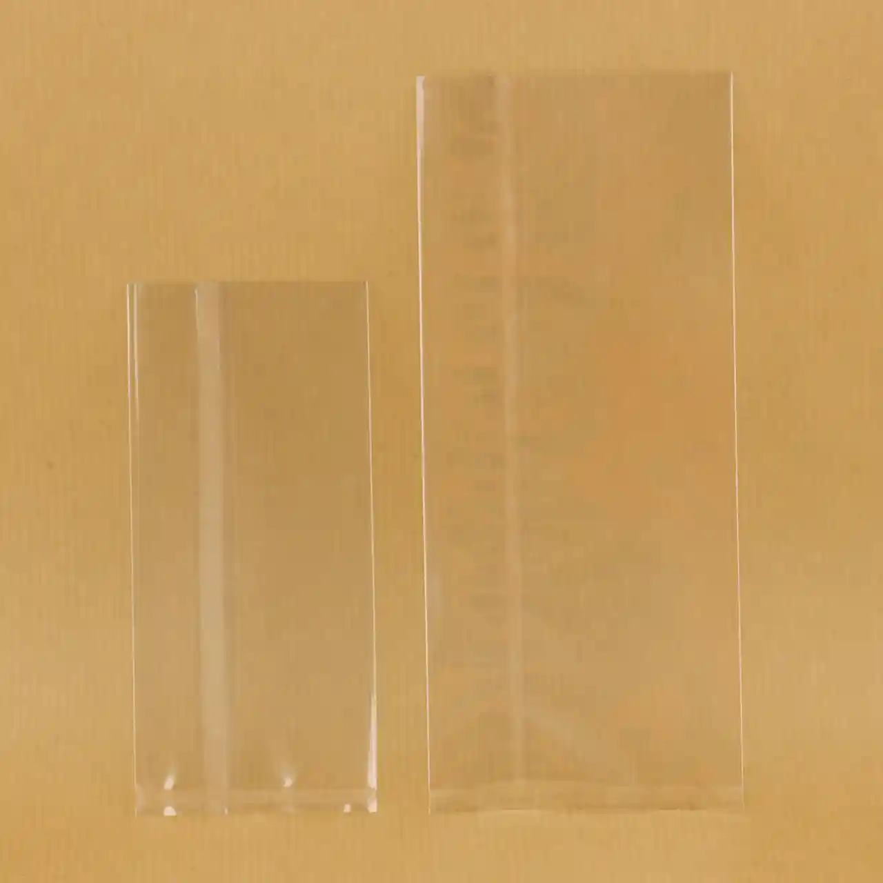 Transparante PP vlakke zakjes - Afbeelding 2