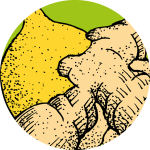 lemon-ginger-1280px