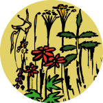 herb-garden-1280px